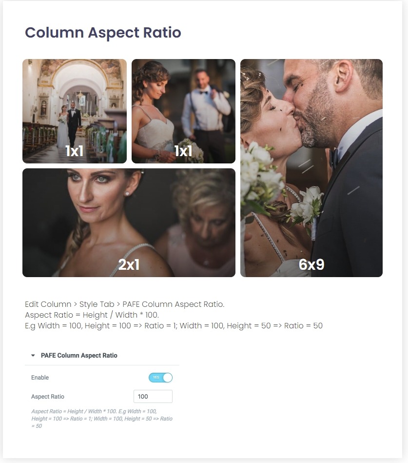 Column Aspect Ratio - PAFE